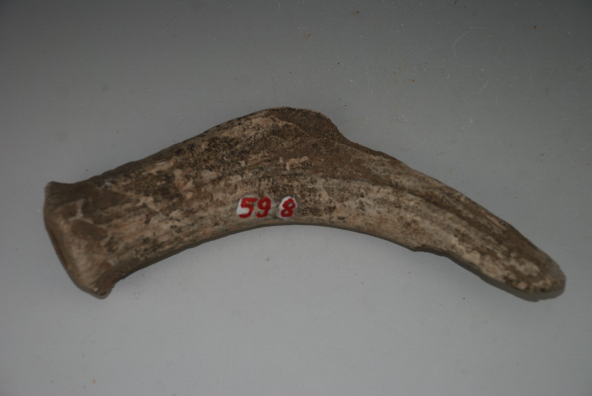 新石器时代鹿角锤